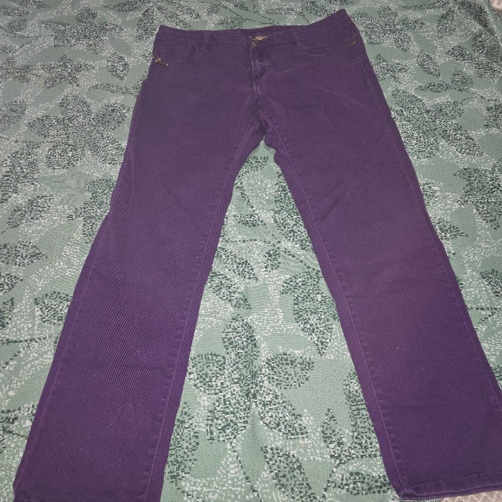Miss Tina by Tina Knowles Women's Jeans